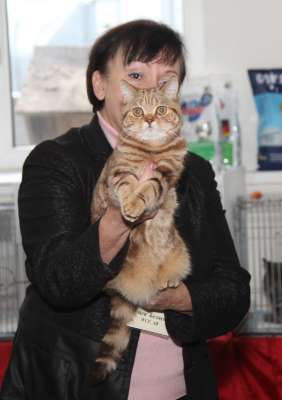 �������� ����� '������� ���-�����' 30 ������-1 ������� 2013., WCF-����� 2548